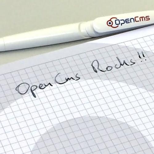 OpenCms 19